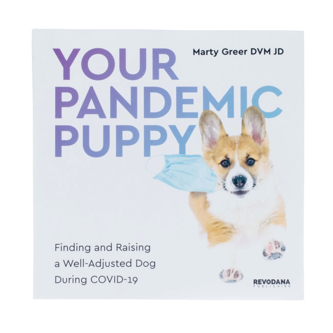 Your Pandemic Puppy,"Book cover with corgi puppy wearing blue face mask"