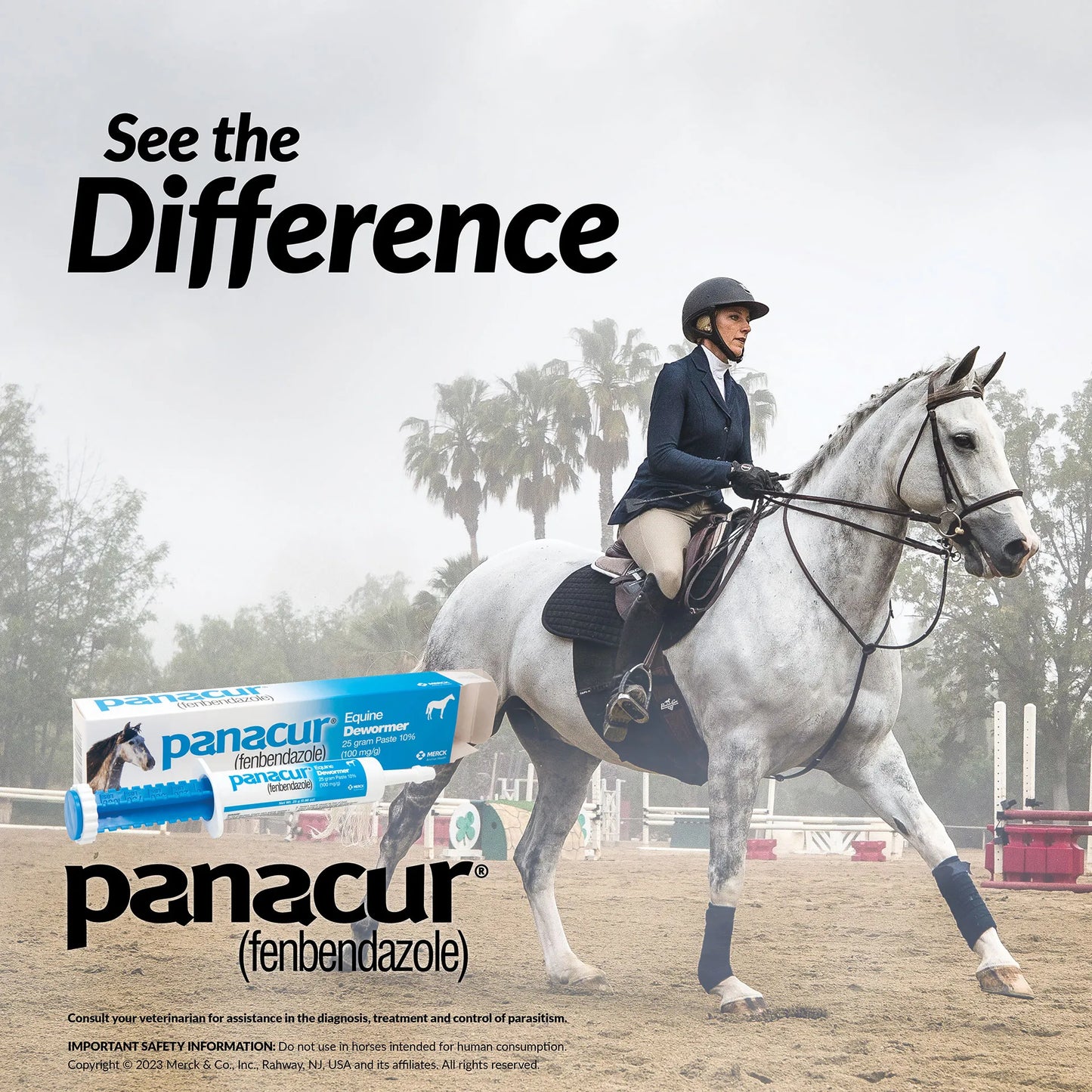 Panacur® Equine Paste Horse Dewormer,"Product box and oral paste syringe with horse and rider image"