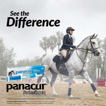 Panacur® Equine Paste Horse Dewormer,"Product box and oral paste syringe with horse and rider image"