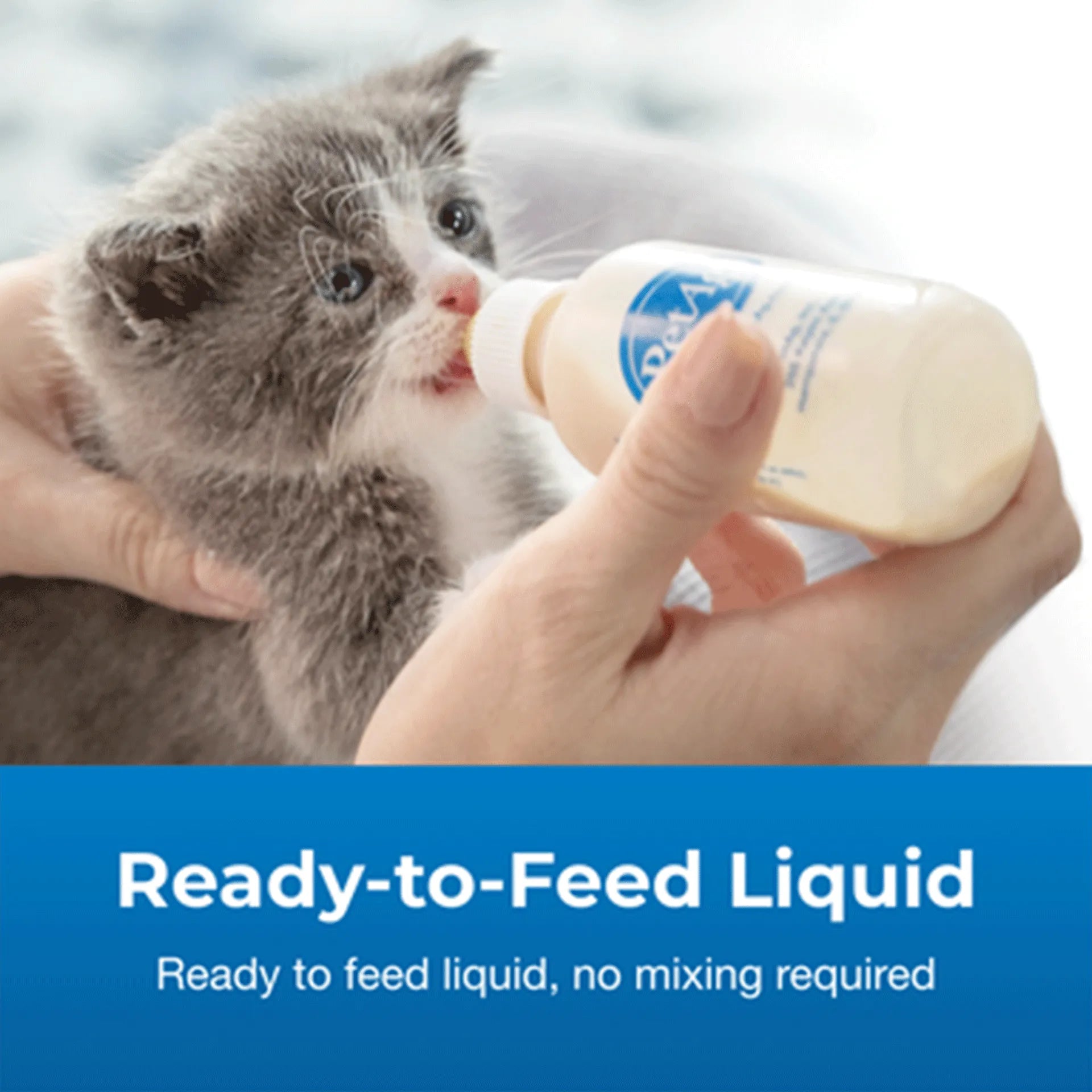 PetAg Goats Milk KMR Liquid Kitten Milk Replacer Ready-to-Feed Formula,"Gray kitten being bottle fed with small milk bottle"