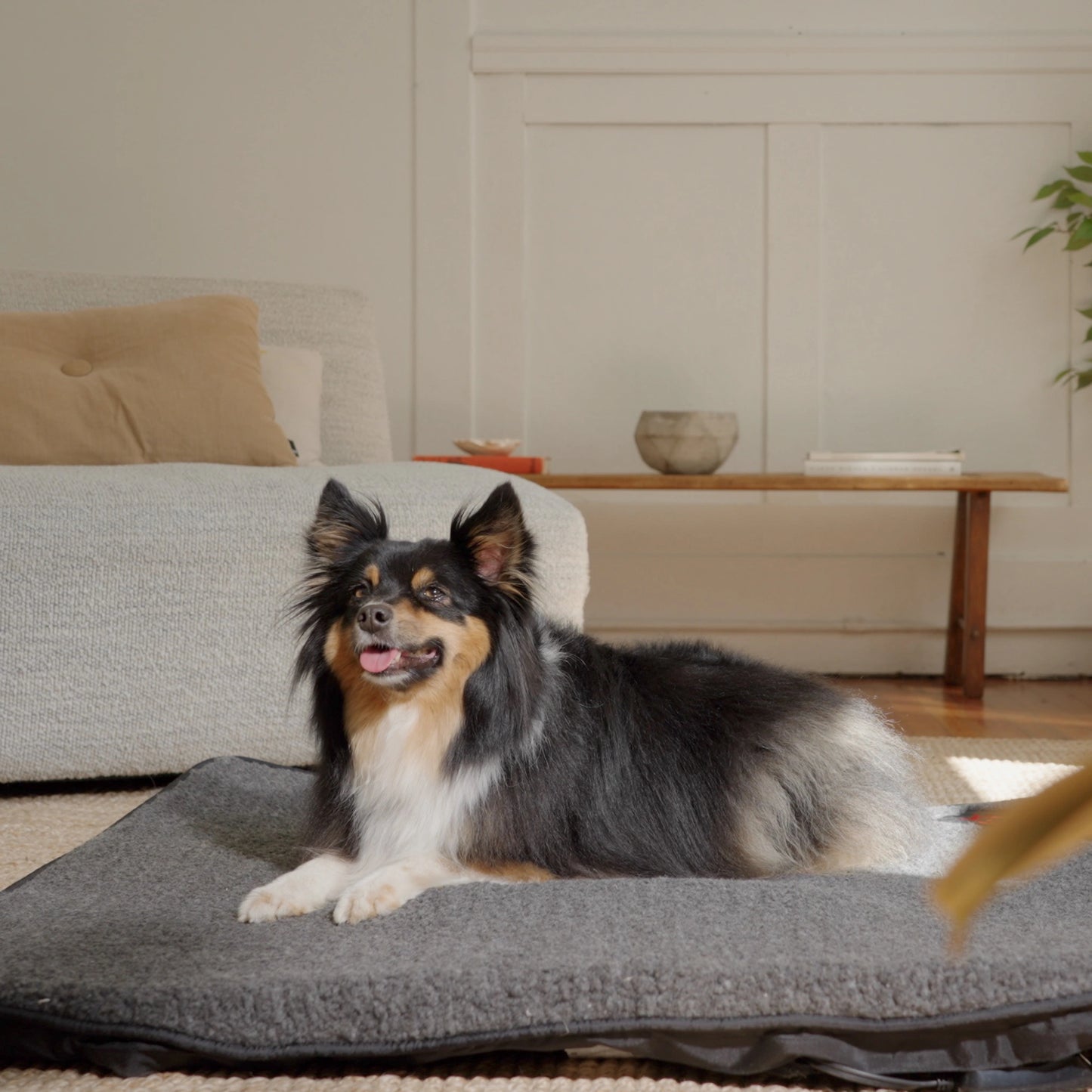 Far Infrared Heating Pet Pad by Thermotex
