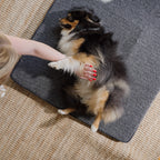 Far Infrared Heating Pet Pad by Thermotex