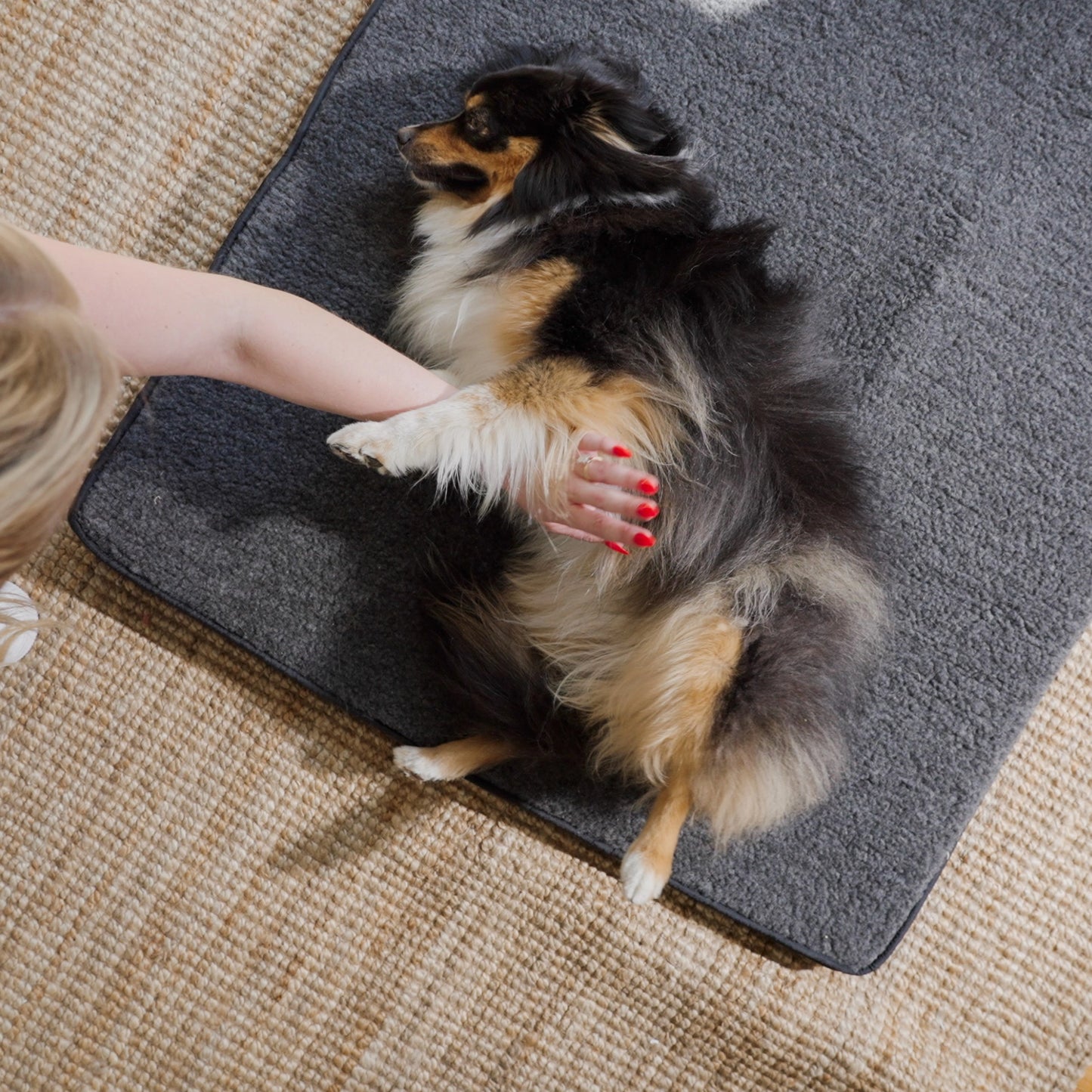Far Infrared Heating Pet Pad by Thermotex