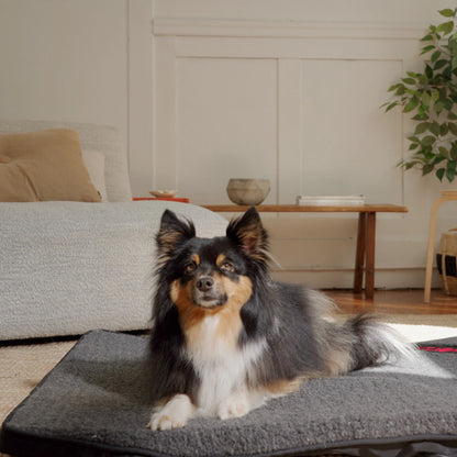 Far Infrared Heating Pet Pad by Thermotex