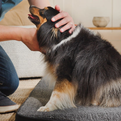 Far Infrared Heating Pet Pad by Thermotex
