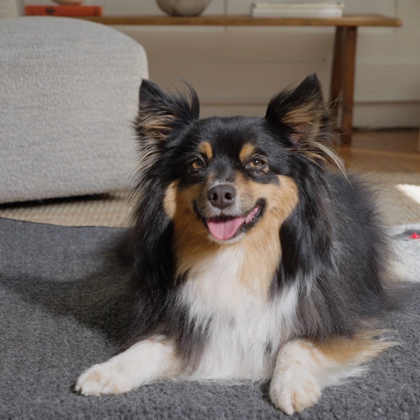 Far Infrared Heating Pet Pad by Thermotex