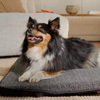 Far Infrared Heating Pet Pad by Thermotex