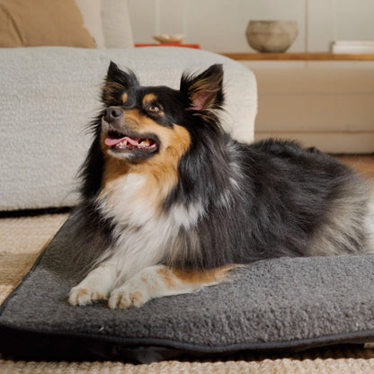 Far Infrared Heating Pet Pad by Thermotex