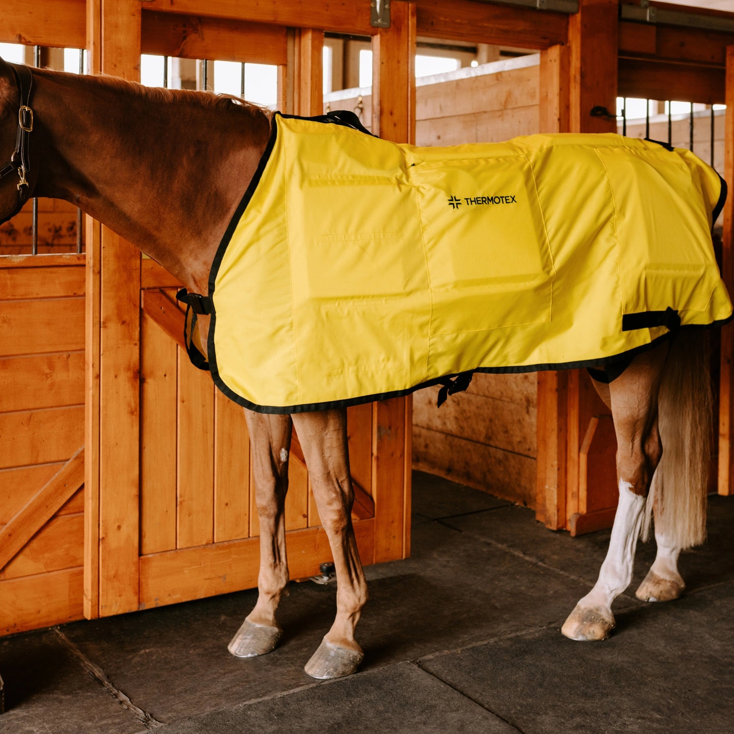 Equine Far Infrared Heating 12 Pad Blanket by Thermotex