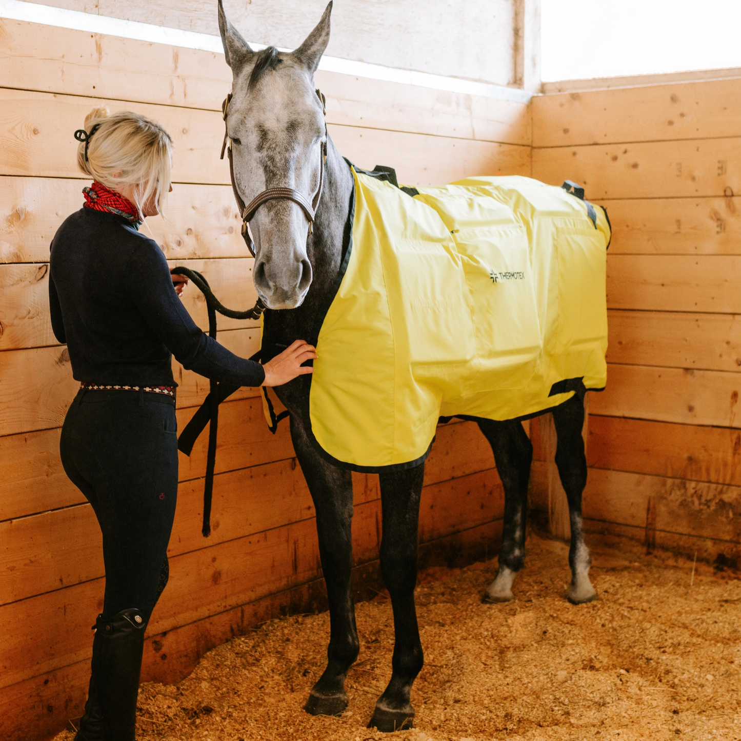 Equine Far Infrared Heating 12 Pad Blanket by Thermotex