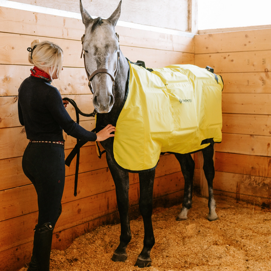 Equine Far Infrared Heating 12 Pad Blanket by Thermotex
