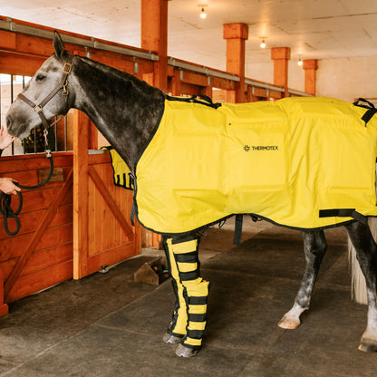 Equine Far Infrared Heating 12 Pad Blanket by Thermotex