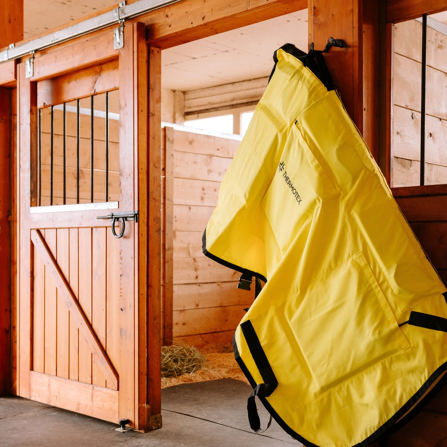 Equine Far Infrared Heating 12 Pad Blanket by Thermotex
