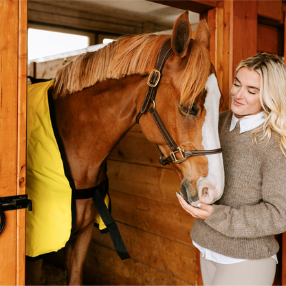 Equine Far Infrared Heating 12 Pad Blanket by Thermotex