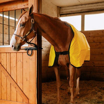 Equine Far Infrared Heating 12 Pad Blanket by Thermotex