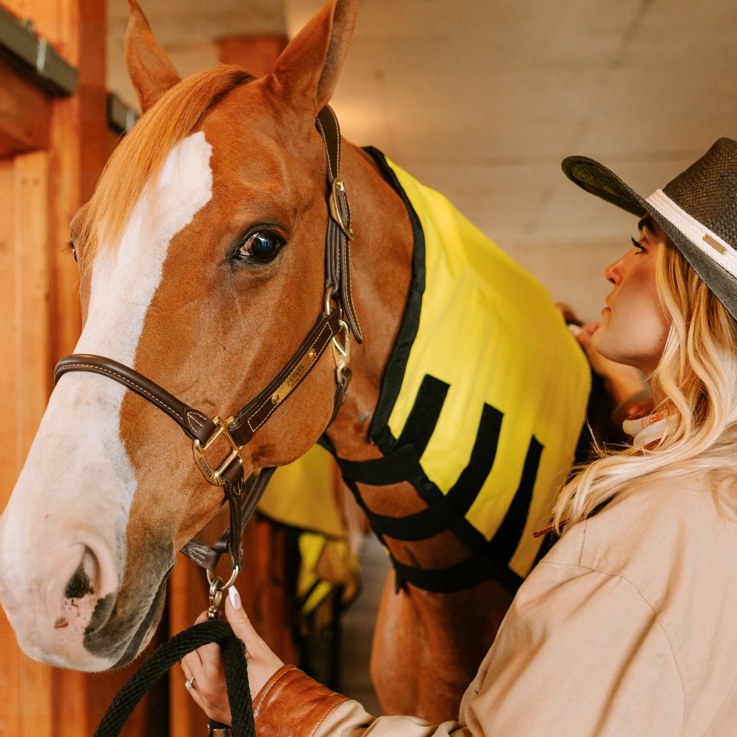 Equine Far Infrared Heating Neck Wrap by Thermotex