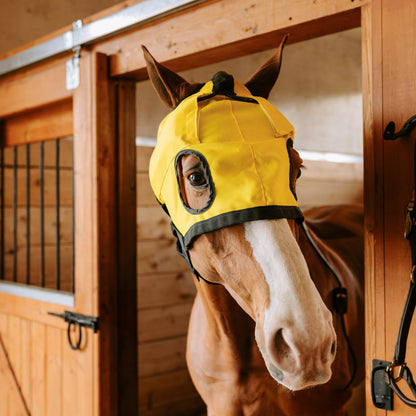 Equine Far Infrared Heating Hood by Thermotex