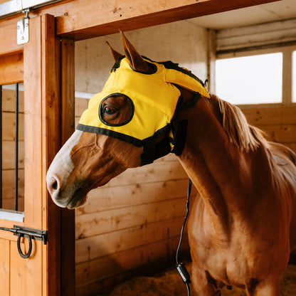 Equine Far Infrared Heating TMJ Hood by Thermotex