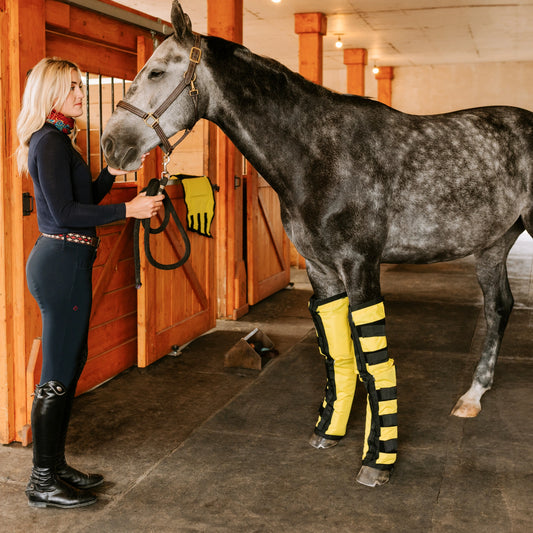 Equine Far Infrared Heating Leggings - High Performance by Thermotex