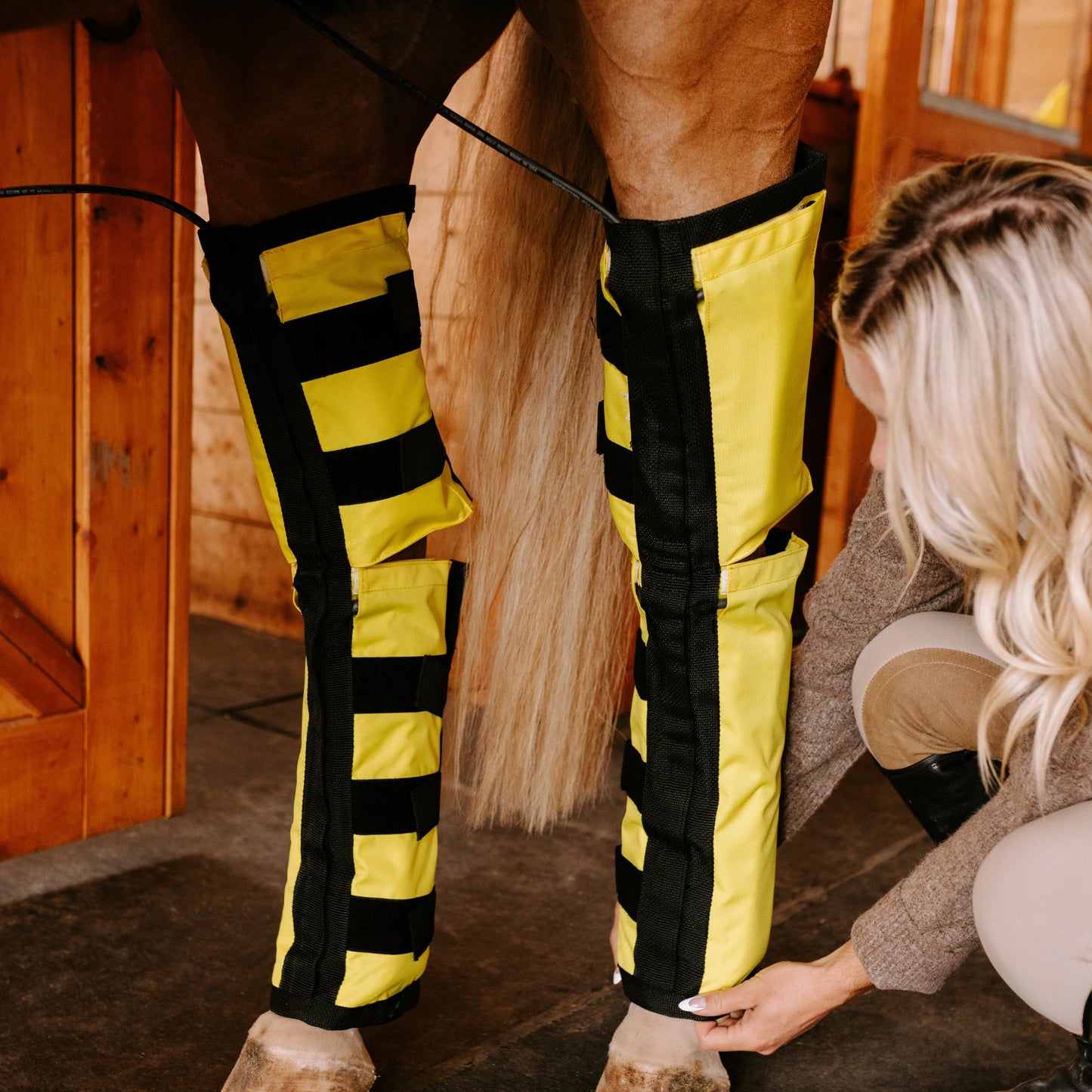 Equine Far Infrared Heating Leggings - High Performance by Thermotex