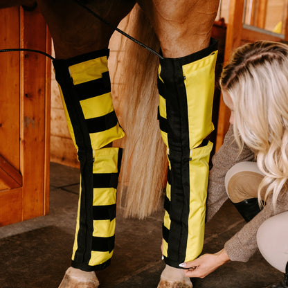 Equine Far Infrared Heating Leggings - High Performance by Thermotex