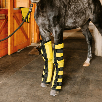 Equine Far Infrared Heating Leggings - High Performance by Thermotex