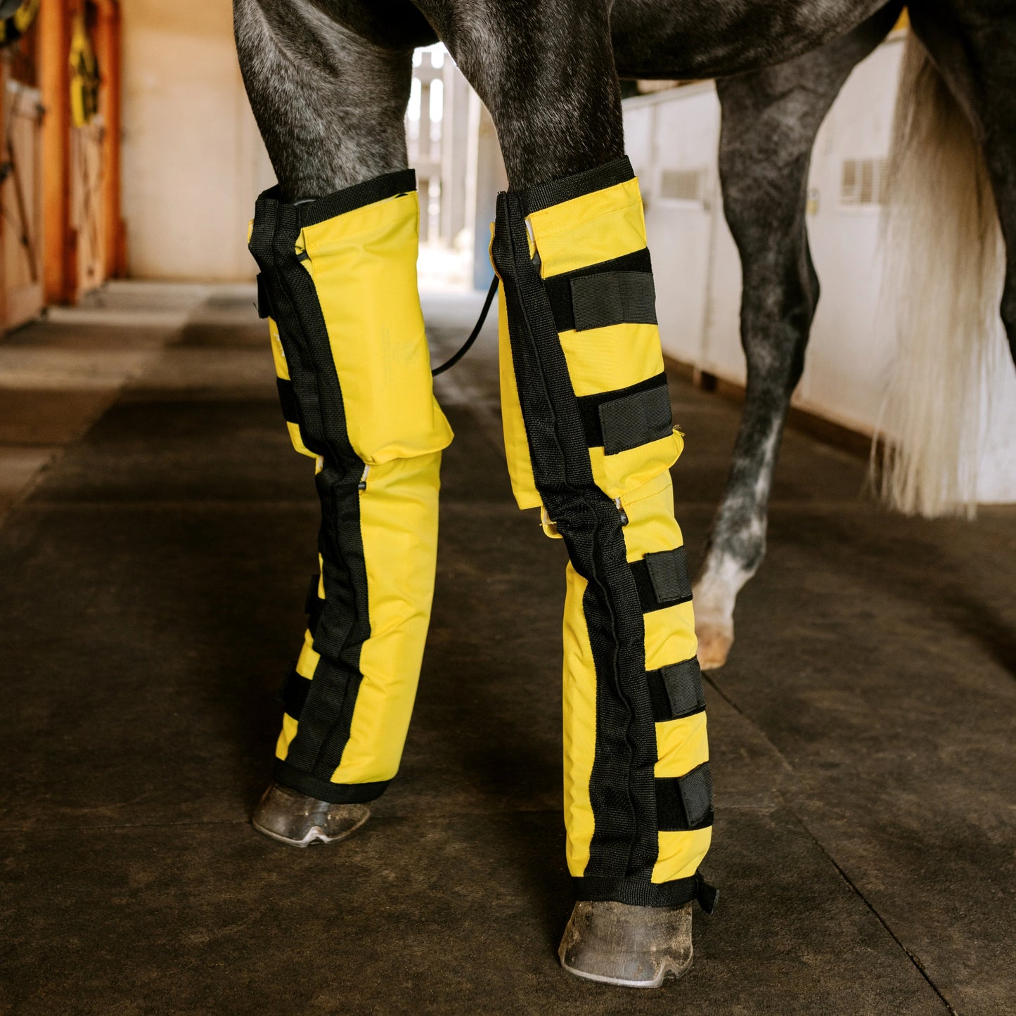 Equine Far Infrared Heating Leggings - High Performance by Thermotex