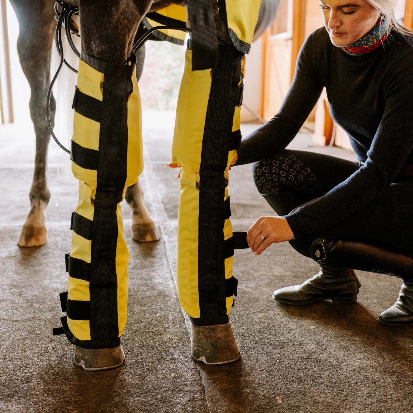 Equine Far Infrared Heating Leggings - High Performance by Thermotex