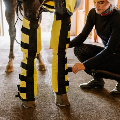 Equine Far Infrared Heating Leggings - High Performance by Thermotex