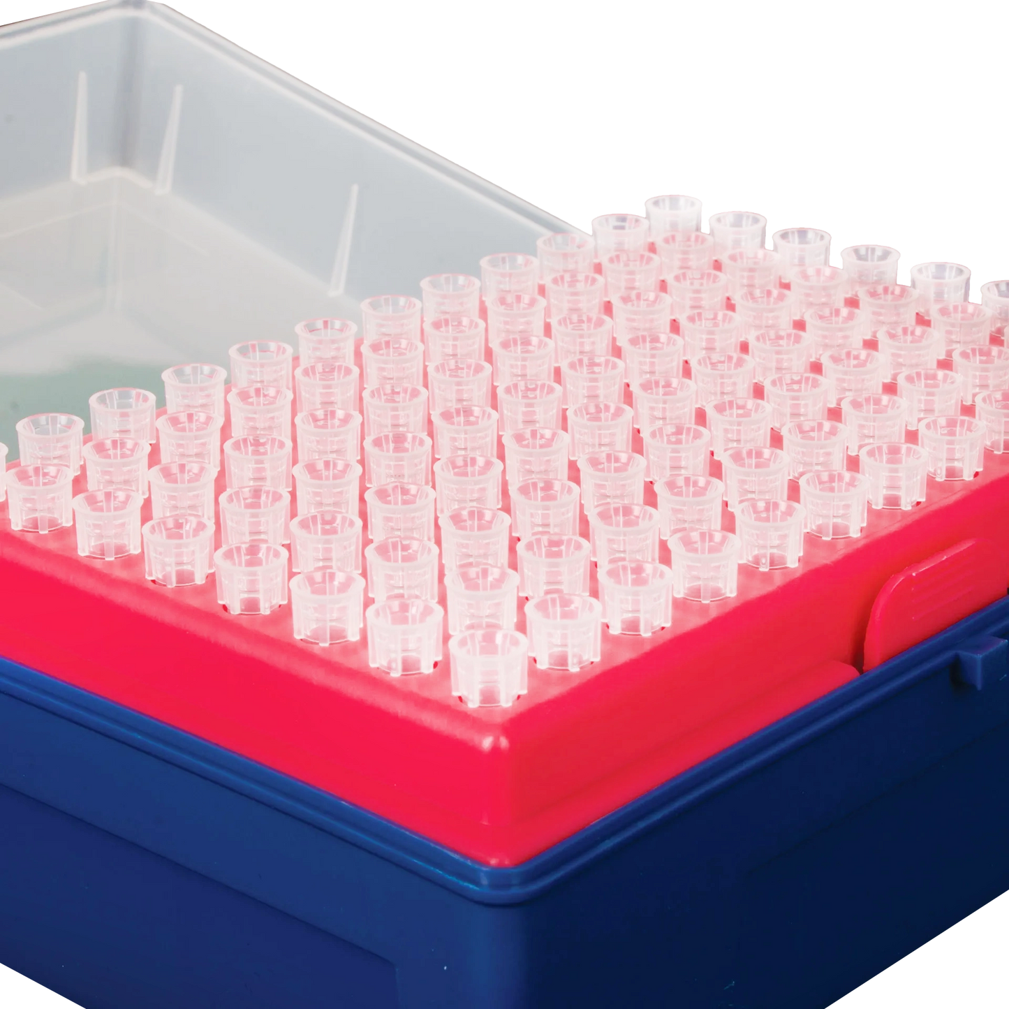 0.5-10ul Micropipettor tips,"Clear pipette tip rack with open hinged lid"