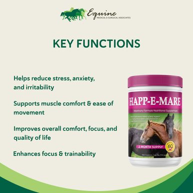 Happ-E-Mare,"Hinged tub supplement container with horse image"