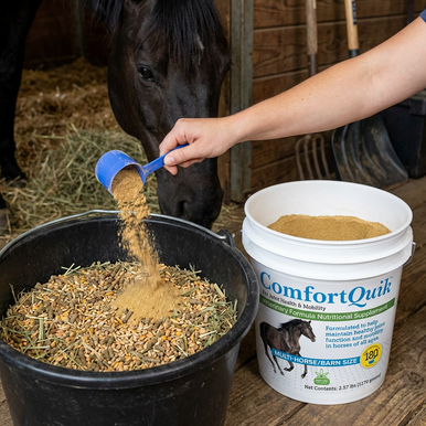 Comfort Quik™,"Blue scoop pouring powder into horse feed beside white bucket"