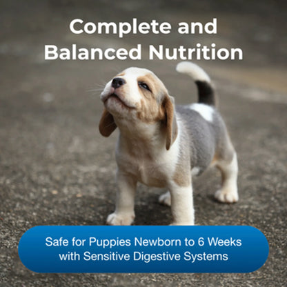 PetAg Goat's Milk Esbilac Puppy Milk Replacer Powder for Puppies,"Small puppy standing on pavement"