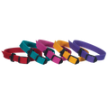Breeder's Edge® ID Me™ Perfect Fit Collar,"Set of five adjustable fabric pet collars in assorted colors"