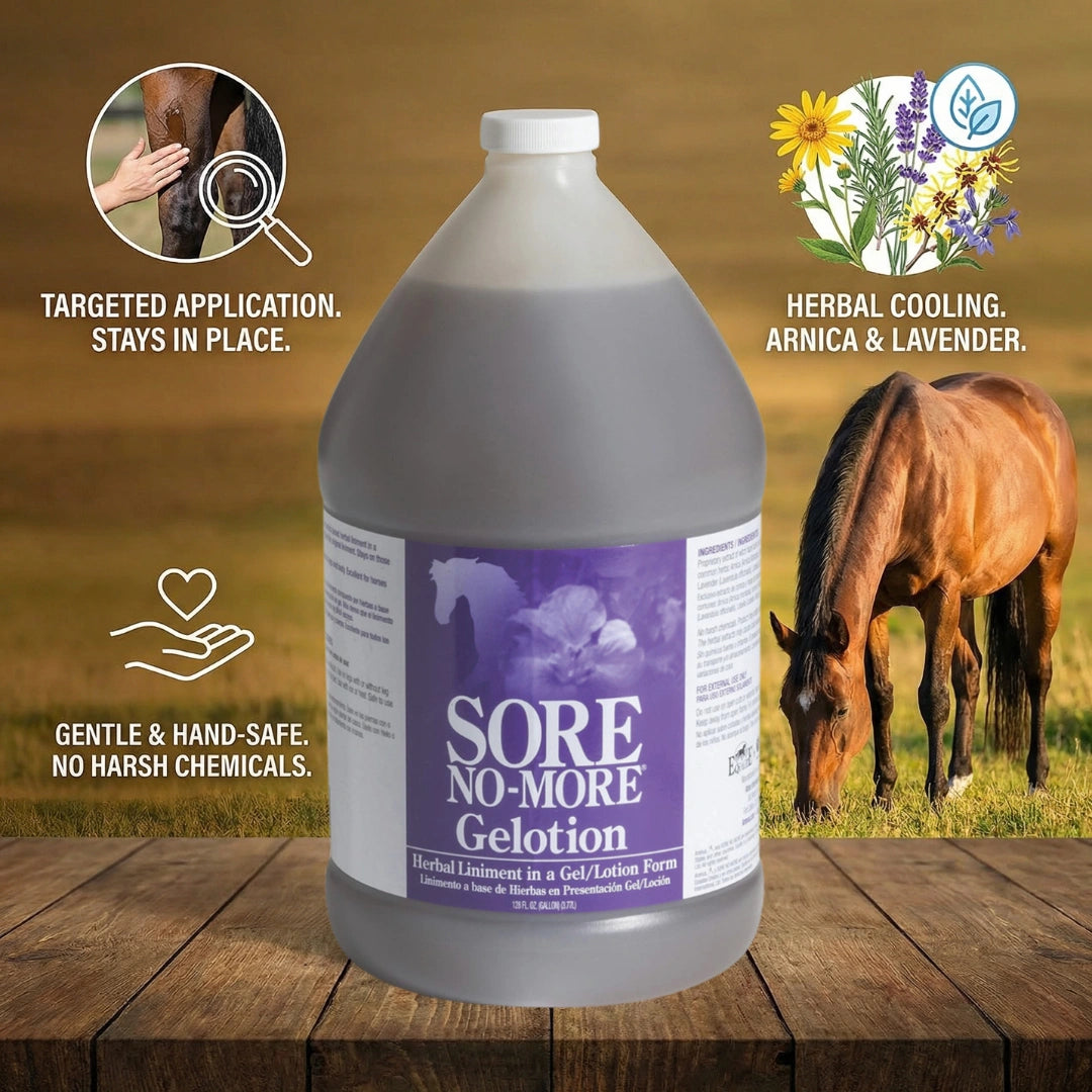 Sore No-More® Classic Gelotion,"Large gallon jug with purple label on tabletop"