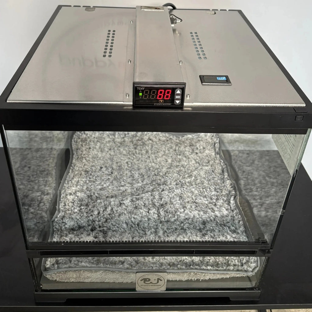 Puppywarmer® Puppy Incubator,"Glass incubator with metal top, digital display, and gray pad"