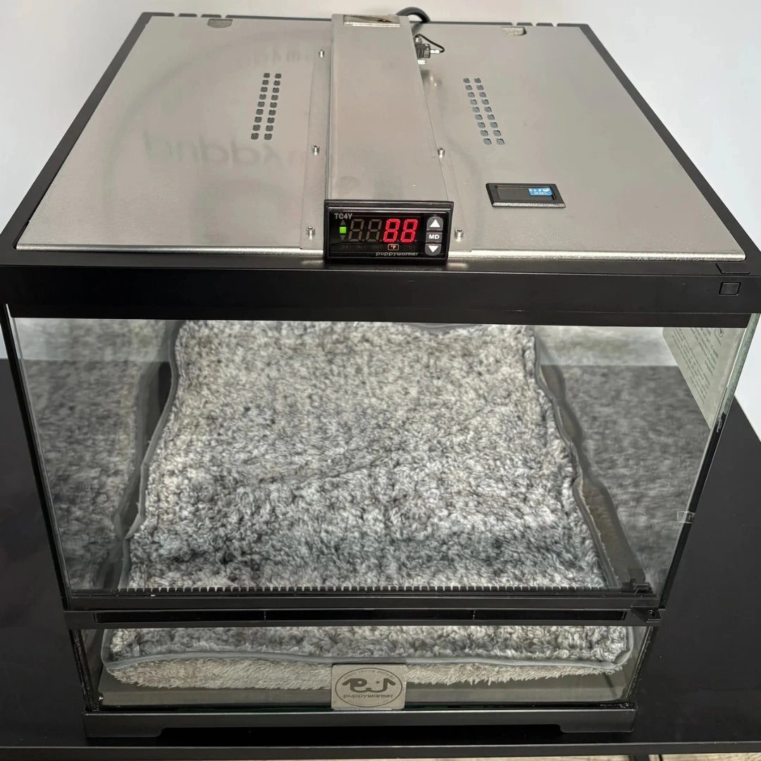 Puppywarmer® Puppy Incubator,"Glass incubator with metal top, digital display, and gray pad"