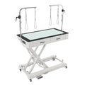 Dev Testing - Nobivac® Lorem,"Adjustable grooming table with overhead support arms and casters"