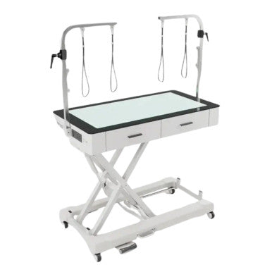 Dev Testing - Nobivac® Lorem,"Adjustable grooming table with overhead support arms and casters"