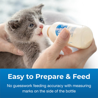 PetAg Nurser Bottle for Small Animals,"Gray kitten drinking from bottle nipple"