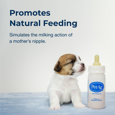 PetAg Nurser Bottle for Small Animals,"Pet nursing bottle beside a small puppy"