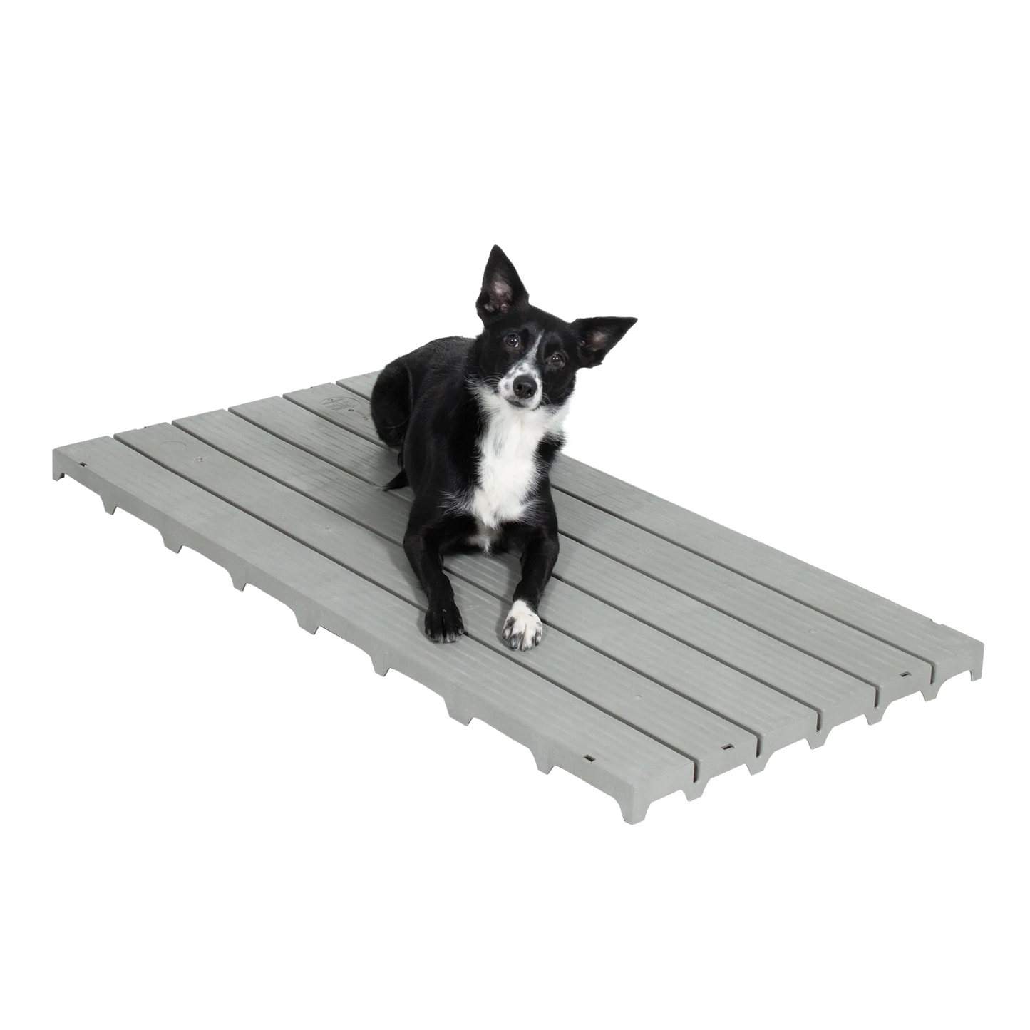 Kennel Deck®,"Gray slatted kennel deck with dog lying on top"