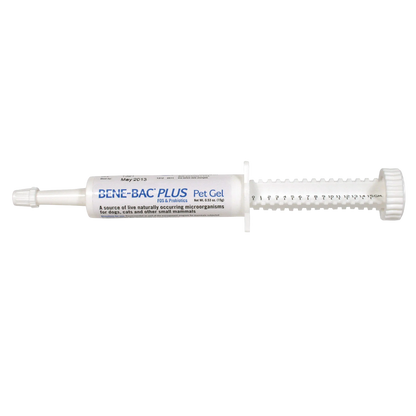 Bene-Bac® Plus,"White oral gel syringe with plunger and dosing marks"