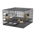 Midwest® Puppy Playpen,"Wire playpen with open door and three dogs inside"