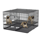 Midwest® Puppy Playpen,"Wire playpen with open door and three dogs inside"