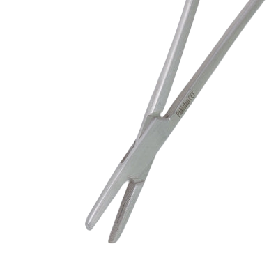 Metal Forceps,"Close-up of forceps tips"