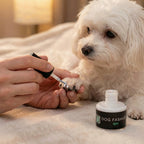 Non-toxic Nail Polish,"White polish being applied to a small dog's paw beside an open bottle"