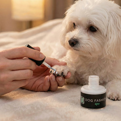 Non-toxic Nail Polish,"White polish being applied to a small dog's paw beside an open bottle"