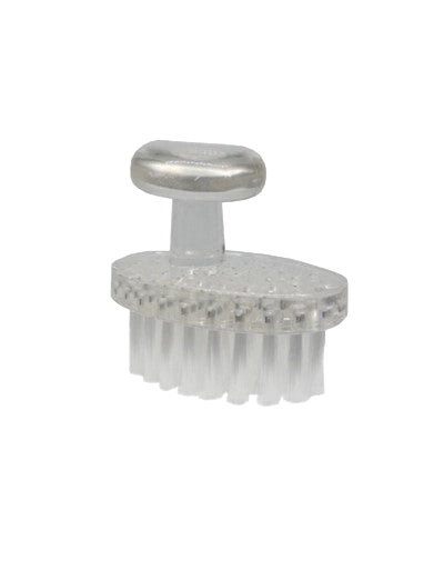 Face and Paw Brush,"Clear handled brush with white bristles"