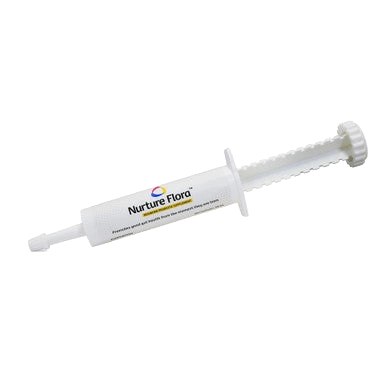 Nurture Them for Puppies and Kittens Bundle,"White oral paste syringe"